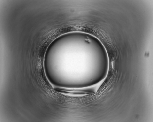 X0000099431347200805161100