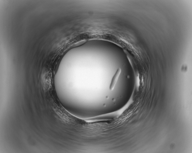 X0000099431348200805161100