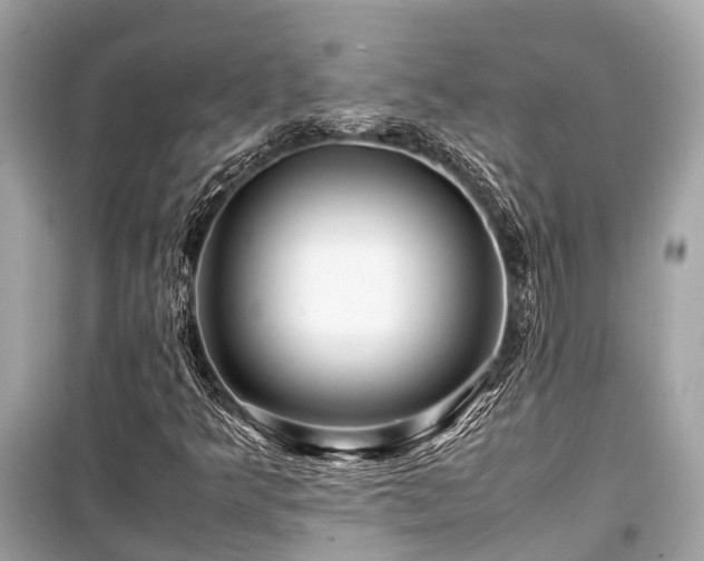 X0000099431349200805161100