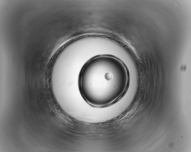 X0000099431352200805161100