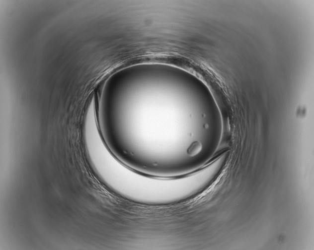 X0000099431353200805161100