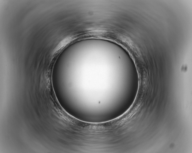 X0000099431354200805161100