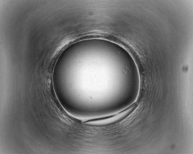 X0000099431355200805161100