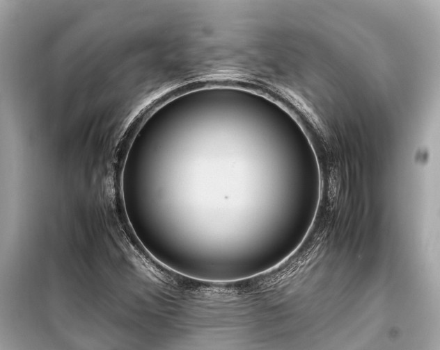 X0000099431356200805161100