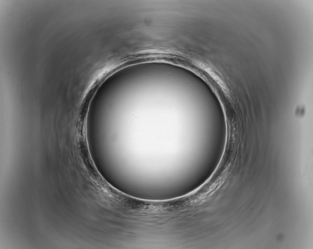 X0000099431357200805161100