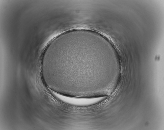 X0000099431359200805161100