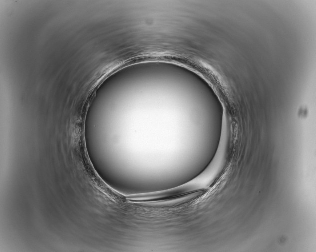 X0000099431361200805161100