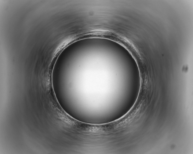 X0000099431362200805161100