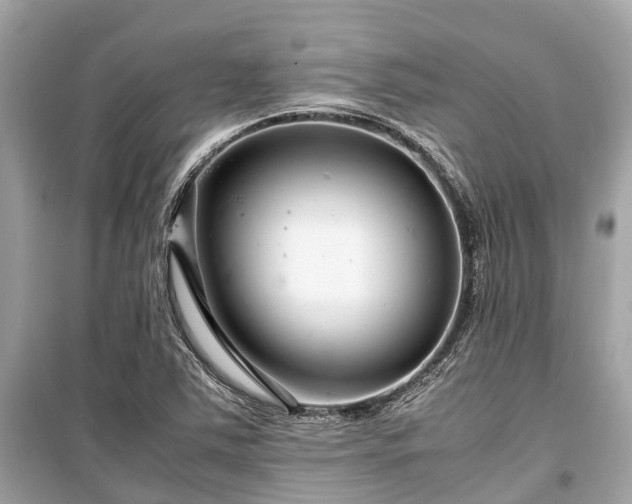 X0000099431363200805161100