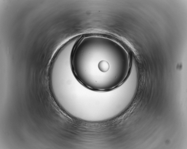 X0000099431364200805161100