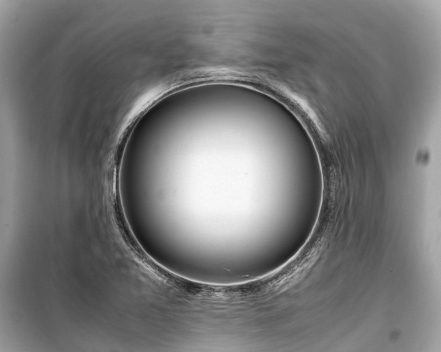 X0000099431365200805161100