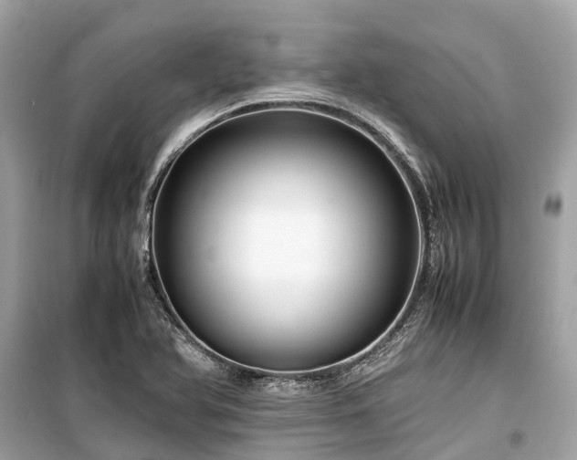 X0000099431366200805161100