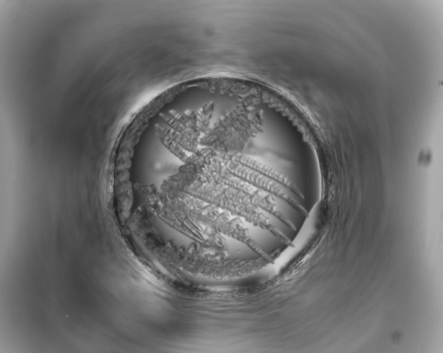X0000099431367200805161100