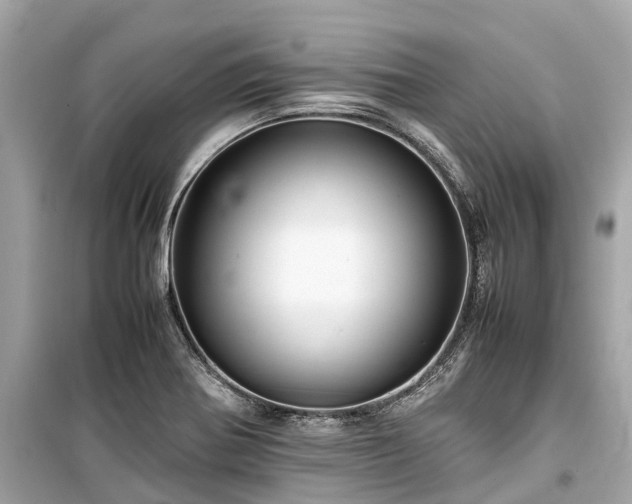X0000099431370200805161100