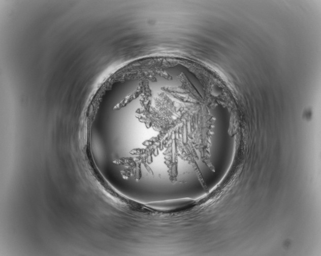 X0000099431371200805161100