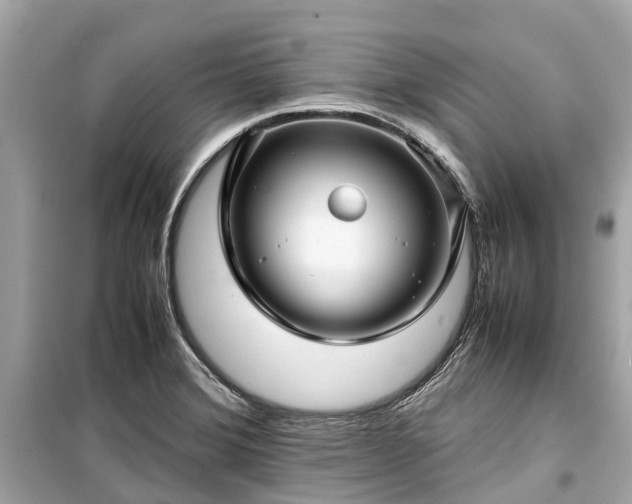 X0000099431372200805161100