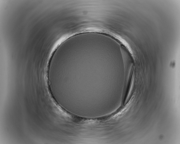 X0000099431373200805161100