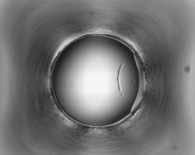 X0000099431374200805161100