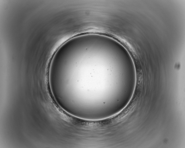 X0000099431375200805161100