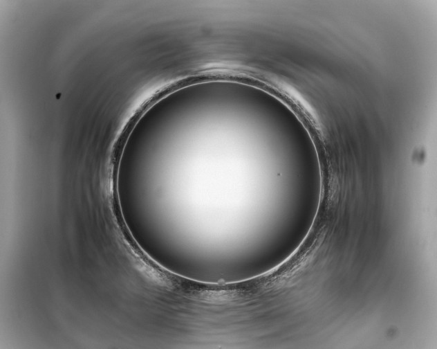 X0000099431376200805161100