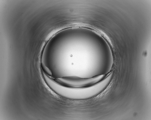 X0000099431381200805161100