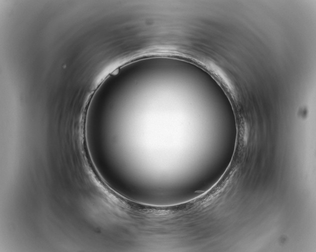 X0000099431382200805161100