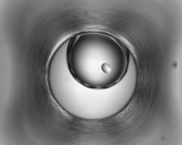 X0000099431384200805161100