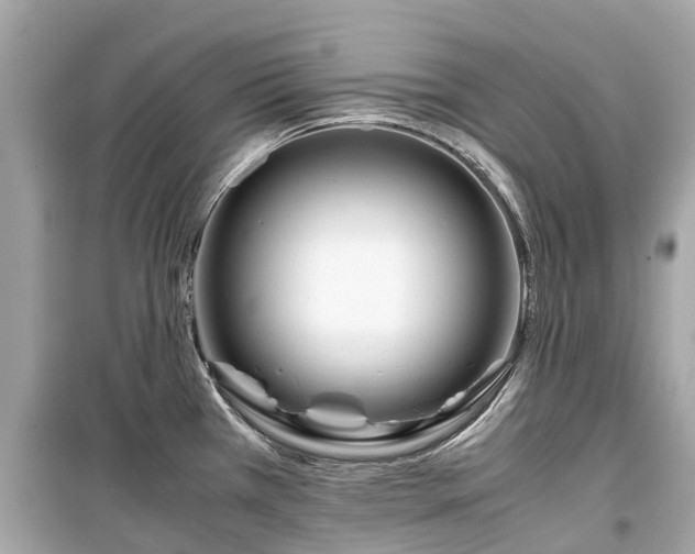 X0000099431385200805161100