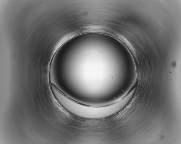 X0000099431386200805161100