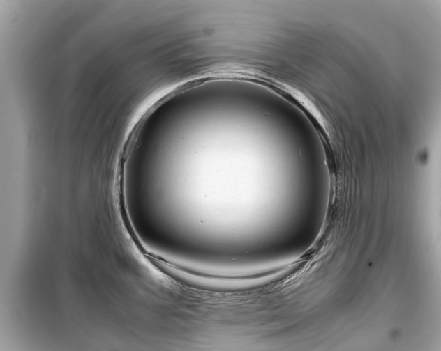 X0000099431387200805161100
