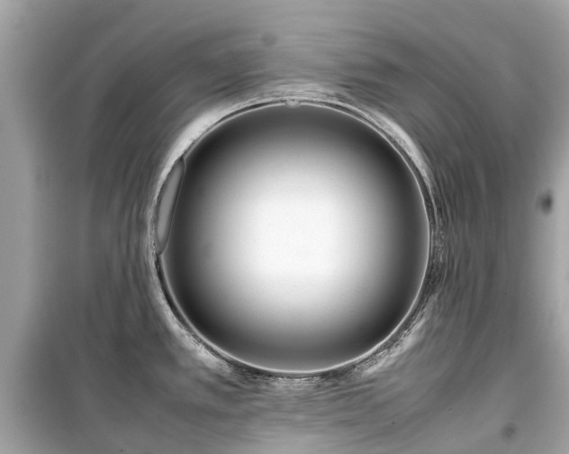 X0000099431389200805161100