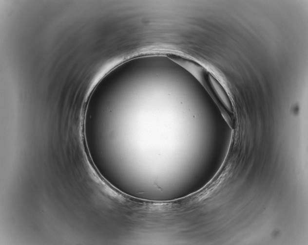 X0000099431390200805161100