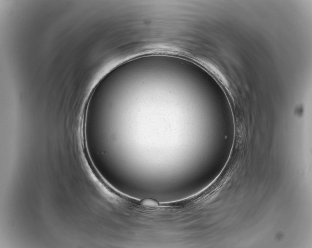X0000099431391200805161100