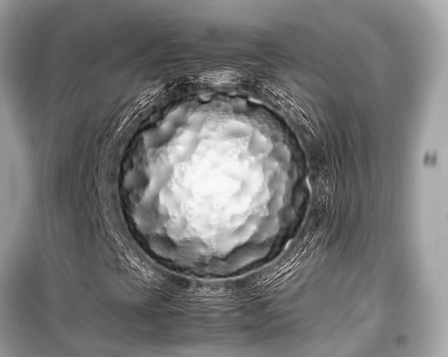 X0000099431393200805161059