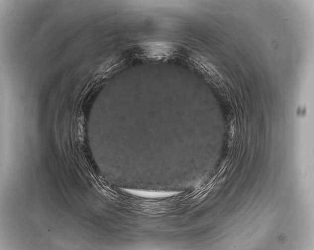 X0000099431394200805161059