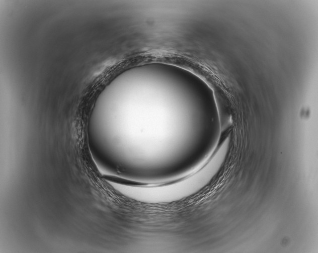 X0000099431398200805161059