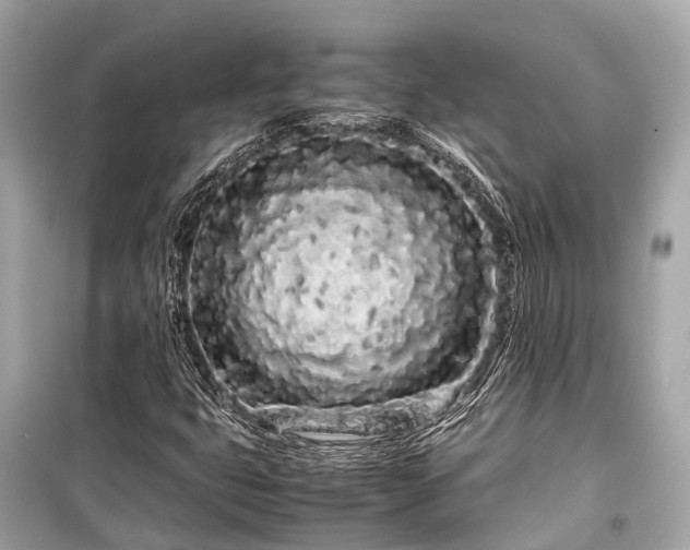 X0000099431399200805161059