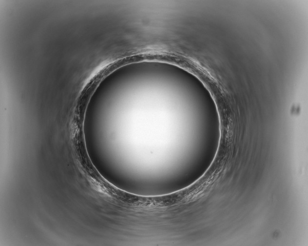 X0000099431400200805161059