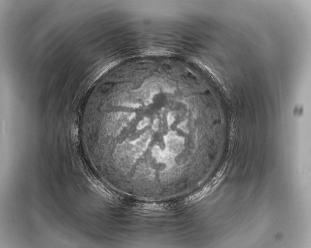 X0000099431401200805161059
