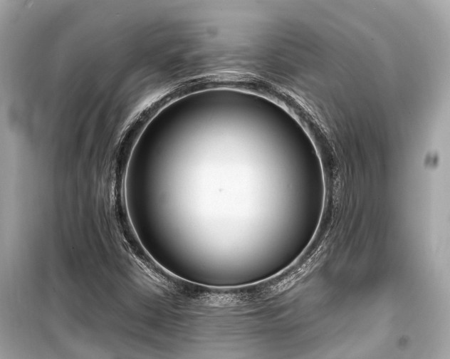 X0000099431402200805161059