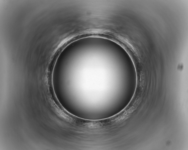 X0000099431404200805161059
