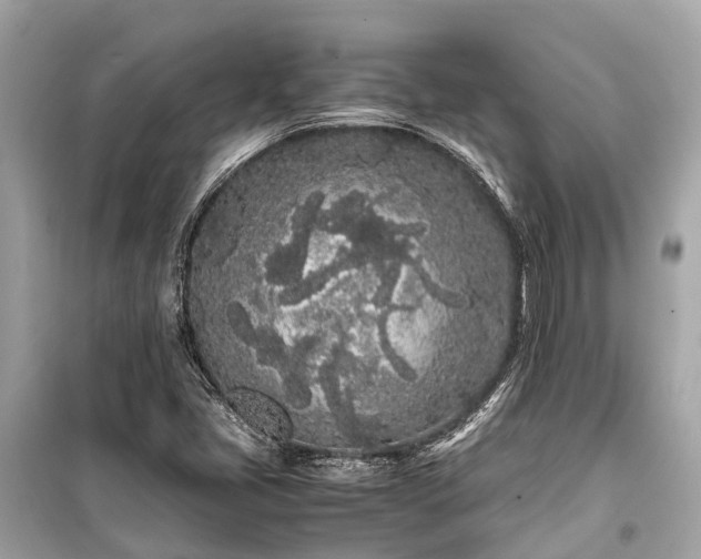 X0000099431405200805161059