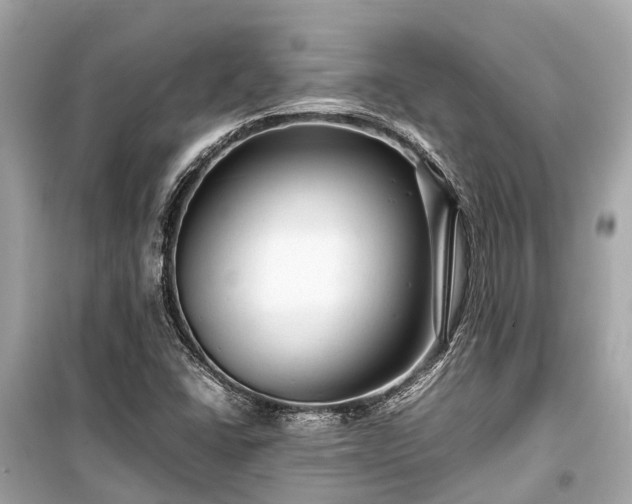 X0000099431406200805161059