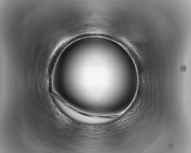 X0000099431408200805161059