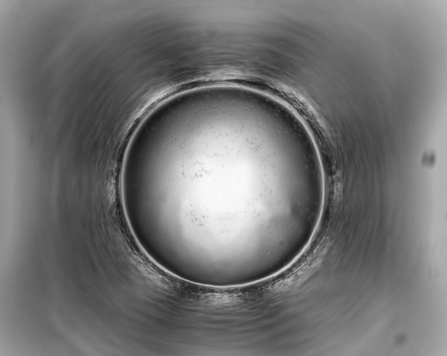 X0000099431409200805161059