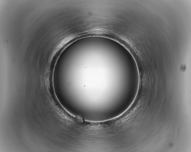 X0000099431410200805161059