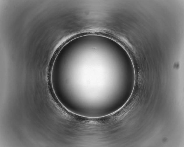 X0000099431412200805161059