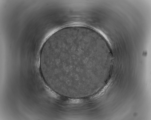X0000099431413200805161059