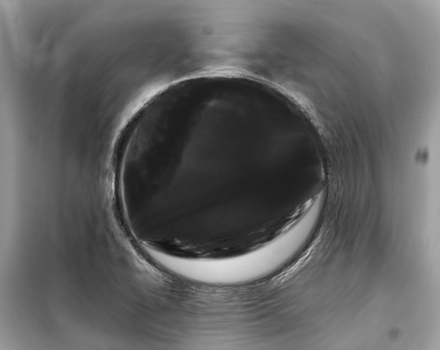 X0000099431414200805161059