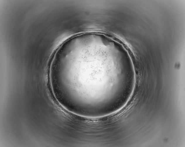 X0000099431415200805161059